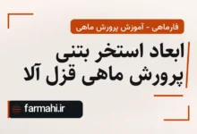 ابعاد استخر بتنی پرورش ماهی قزل آلا