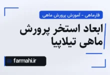 ابعاد استخر پرورش ماهی تیلاپیا