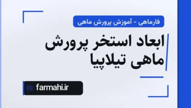 ابعاد استخر پرورش ماهی تیلاپیا