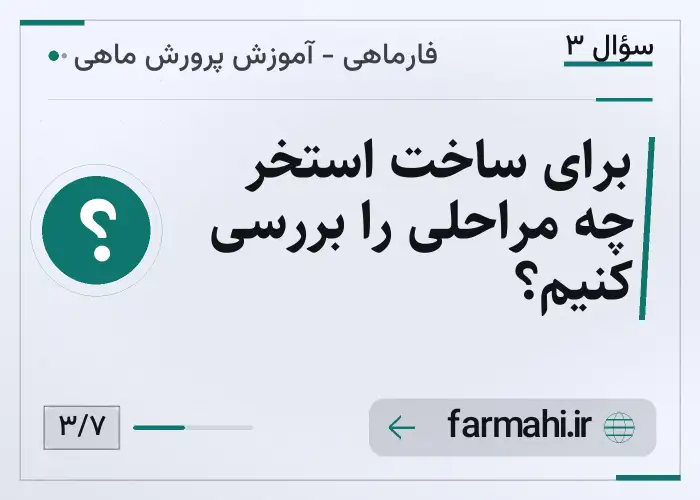 برای ساخت استخر چه مراحلی را بررسی کنیم؟
