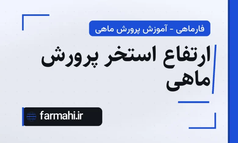 ارتفاع استخر پرورش ماهی