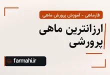 ارزانترین ماهی پرورشی
