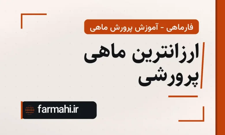 ارزانترین ماهی پرورشی