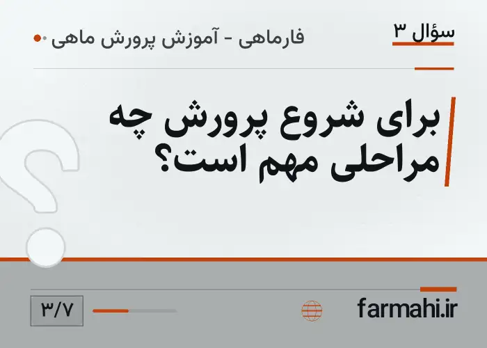 برای شروع پرورش چه مراحلی مهم است؟