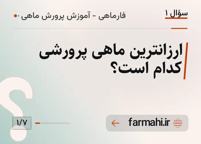 ارزانترین ماهی پرورشی کدام است؟