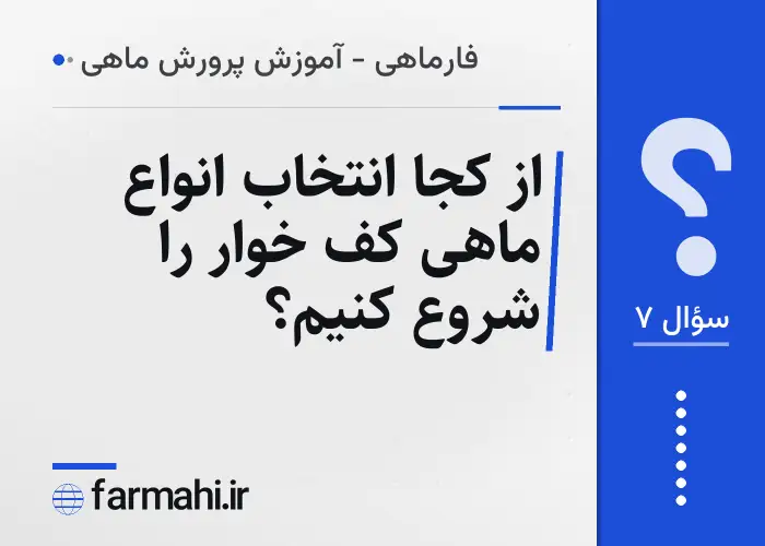 از کجا انتخاب انواع ماهی کف خوار را شروع کنیم؟
