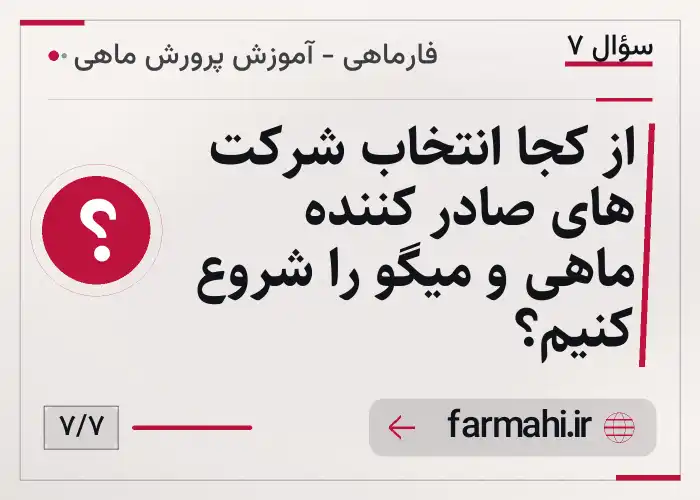 از کجا انتخاب شرکت های صادر کننده ماهی و میگو را شروع کنیم؟