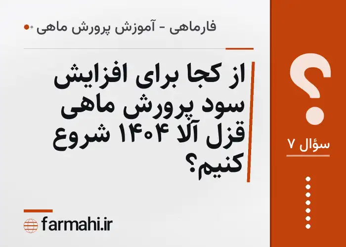 از کجا برای افزایش سود پرورش ماهی قزل آلا ۱۴۰۴ شروع کنیم؟