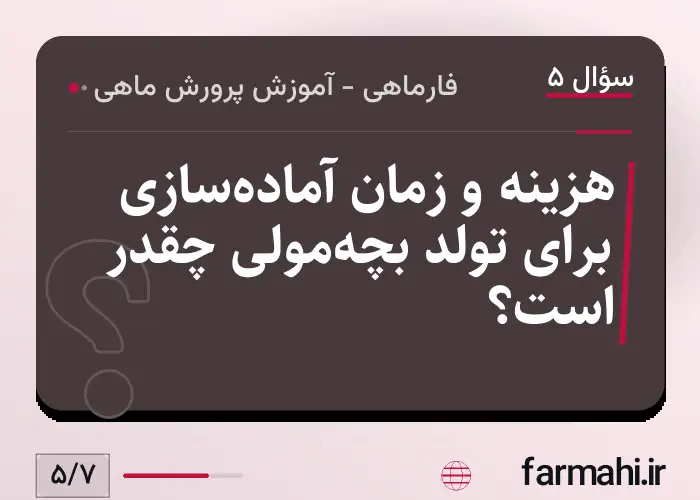 هزینه و زمان آماده‌سازی برای تولد بچه‌مولی چقدر است؟