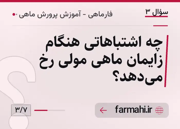چه اشتباهاتی هنگام زایمان ماهی مولی رخ میدهد؟