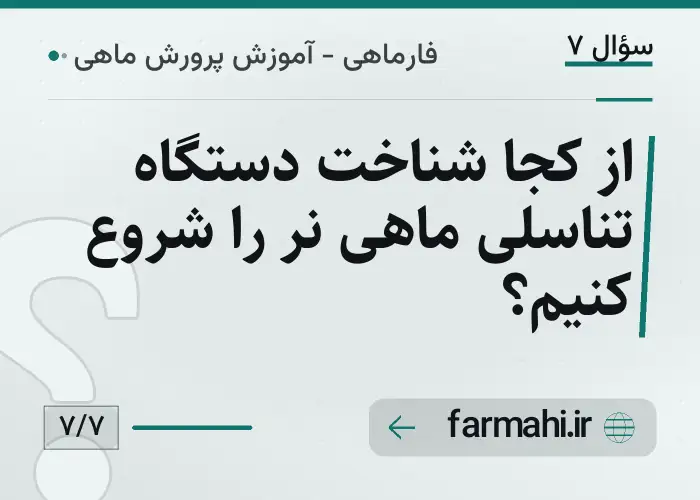 از کجا شناخت دستگاه تناسلی ماهی نر را شروع کنیم؟