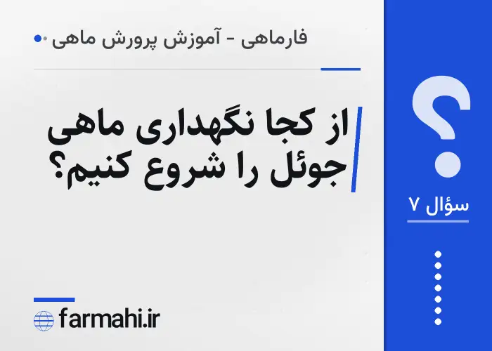 از کجا نگهداری ماهی جوئل را شروع کنیم؟