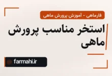 استخر مناسب پرورش ماهی