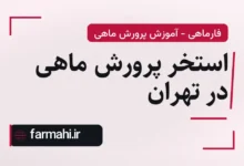 استخر پرورش ماهی در تهران