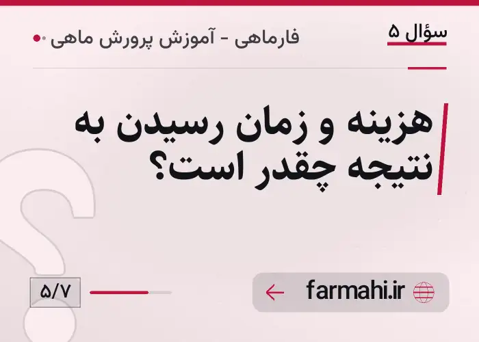 هزینه و زمان رسیدن به نتیجه چقدر است؟