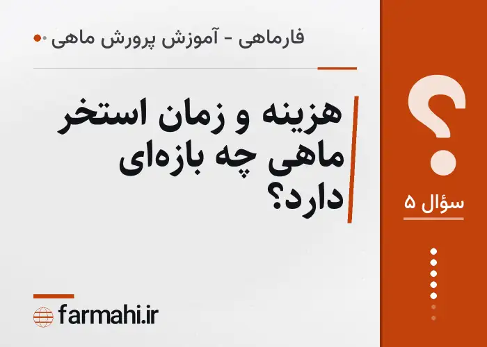 هزینه و زمان استخر ماهی چه بازه‌ای دارد؟