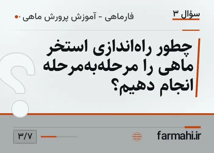 چطور راه‌اندازی استخر ماهی را مرحله‌به‌مرحله انجام دهیم؟