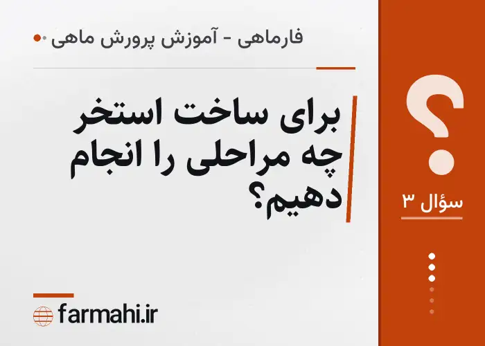 برای ساخت استخر چه مراحلی را انجام دهیم؟