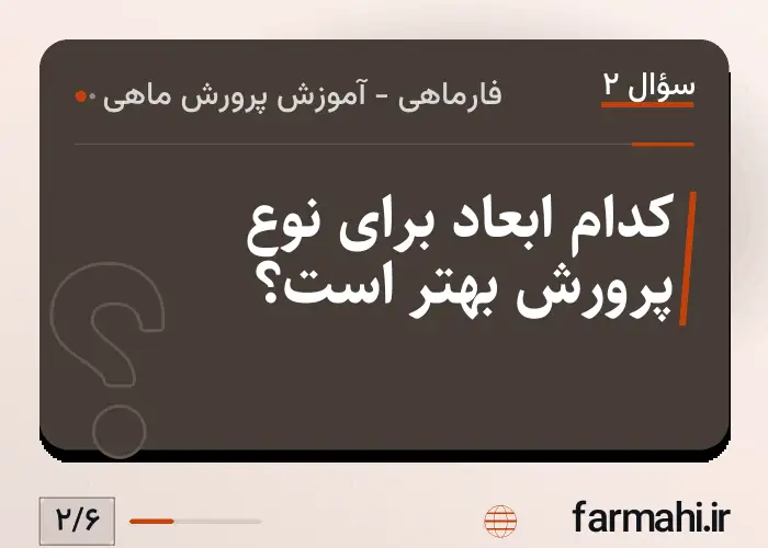 کدام ابعاد برای نوع پرورش بهتر است؟