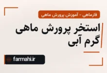 استخر پرورش ماهی گرم آبی