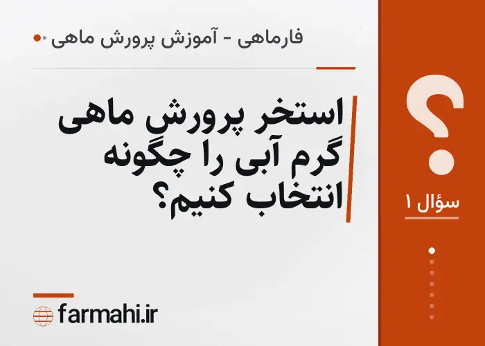 استخر پرورش ماهی گرم آبی را چگونه انتخاب کنیم؟
