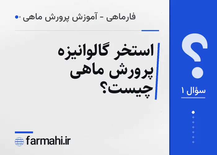 استخر گالوانیزه پرورش ماهی چیست؟