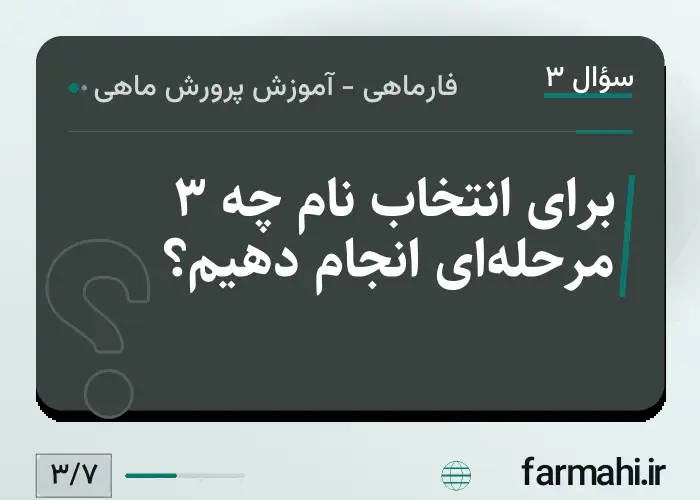 برای انتخاب نام چه ۳ مرحله‌ای انجام دهیم؟