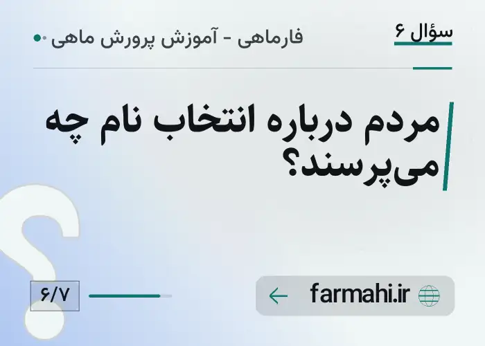 مردم درباره انتخاب نام چه می‌پرسند؟