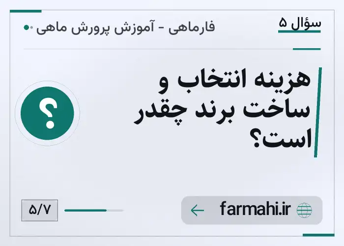 هزینه انتخاب و ساخت برند چقدر است؟