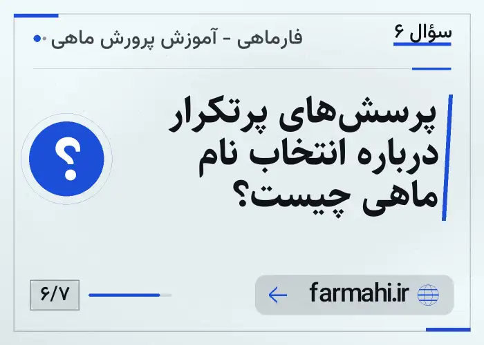 پرسش‌های پرتکرار درباره انتخاب نام ماهی چیست؟