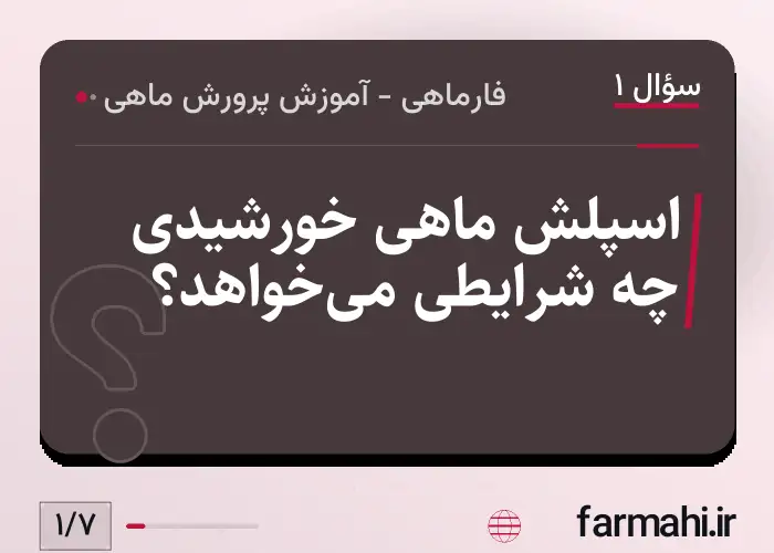 اسپلش ماهی خورشیدی چه شرایطی می‌خواهد؟