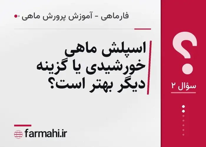 اسپلش ماهی خورشیدی یا گزینه دیگر بهتر است؟