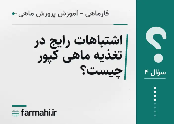 اشتباهات رایج در تغذیه ماهی کپور چیست؟