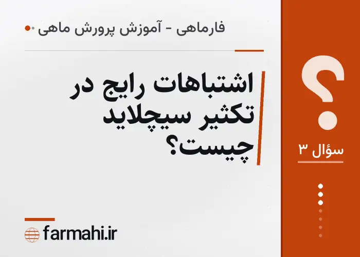اشتباهات رایج در تکثیر سیچلاید چیست؟