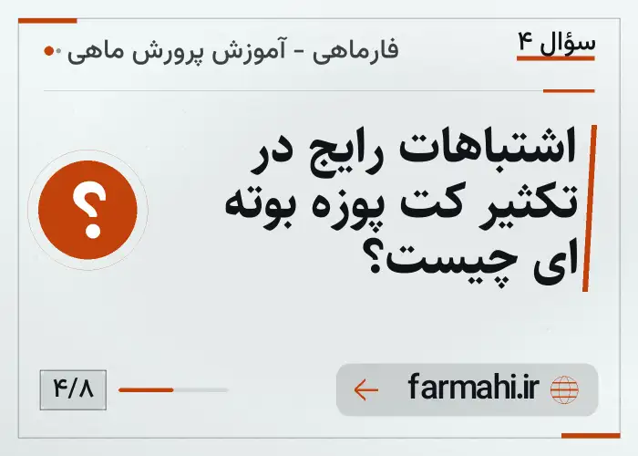 اشتباهات رایج در تکثیر کت پوزه بوته ای چیست؟