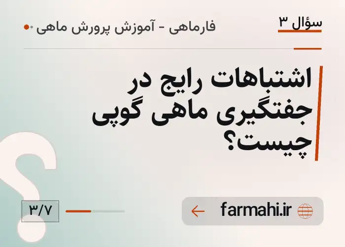 اشتباهات رایج در جفتگیری ماهی گوپی چیست؟