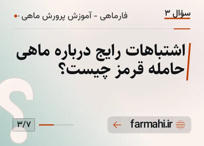 اشتباهات رایج درباره ماهی حامله قرمز چیست؟