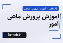 اموزش پرورش ماهی امور