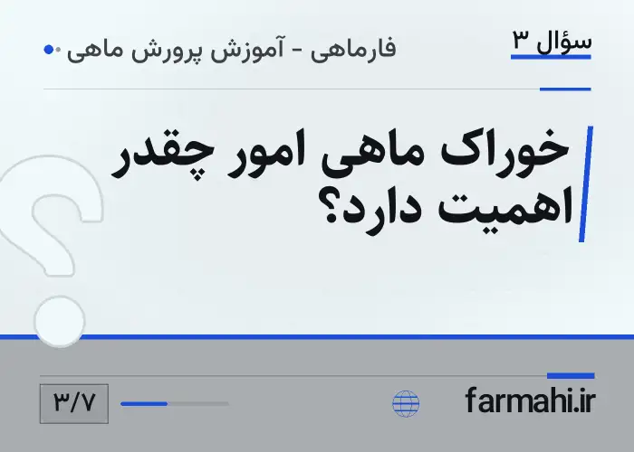 خوراک ماهی امور چقدر اهمیت دارد؟