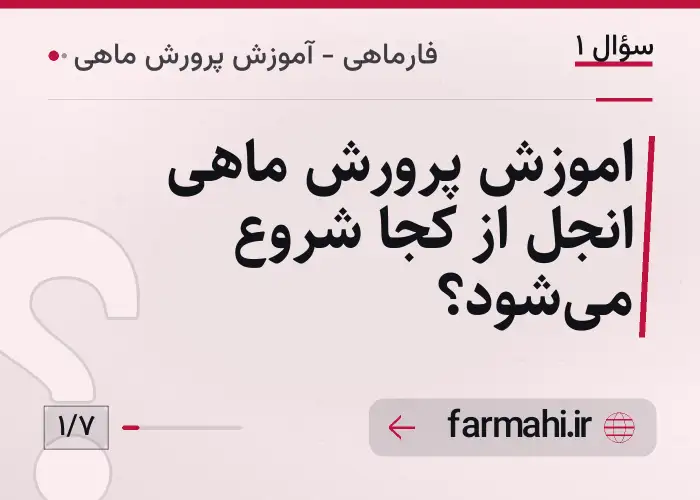 اموزش پرورش ماهی انجل از کجا شروع می‌شود؟