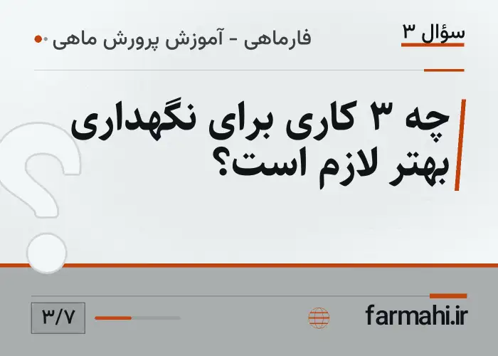 چه ۳ کاری برای نگهداری بهتر لازم است؟