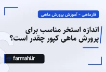 اندازه استخر مناسب برای پرورش ماهی کپور چقدر است؟