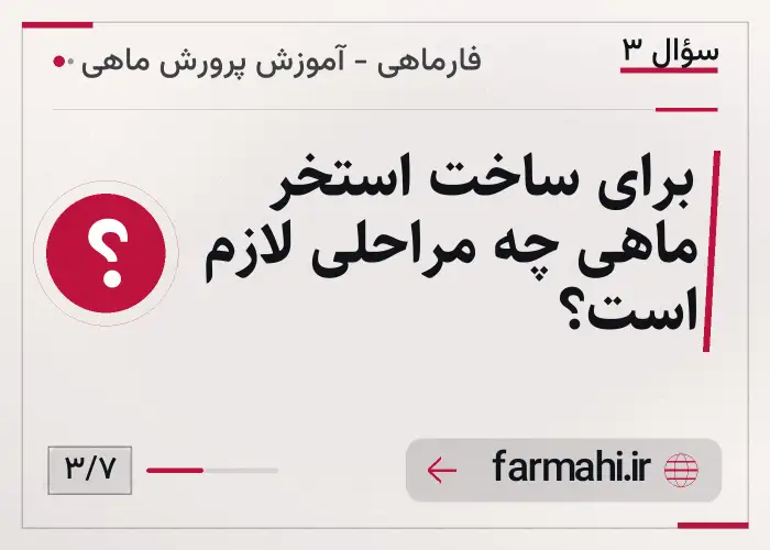 برای ساخت استخر ماهی چه مراحلی لازم است؟