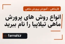 انواع روش های پرورش ماهی تیلاپیا را نام ببرید