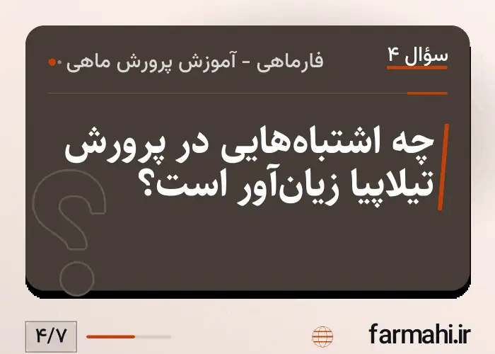 چه اشتباه‌هایی در پرورش تیلاپیا زیان‌آور است؟