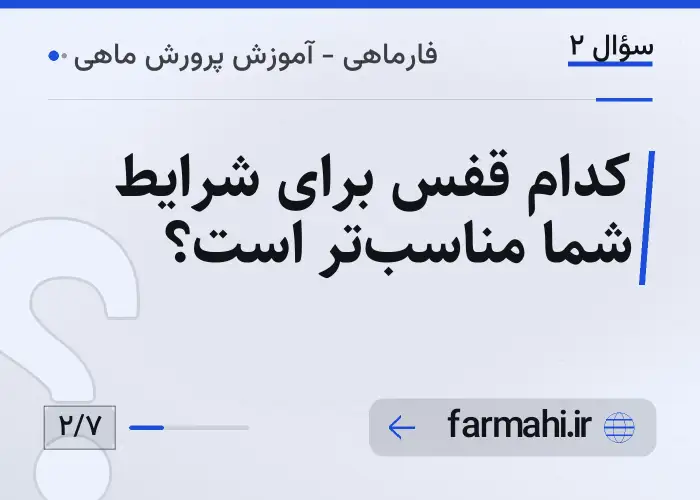 کدام قفس برای شرایط شما مناسب‌تر است؟