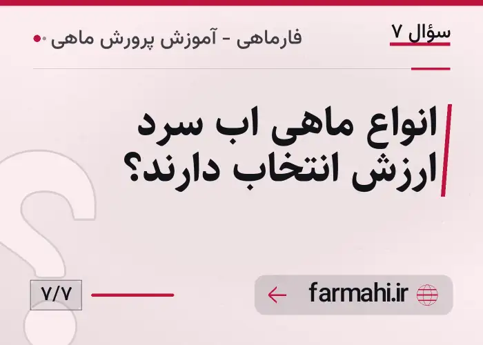 انواع ماهی اب سرد ارزش انتخاب دارند؟