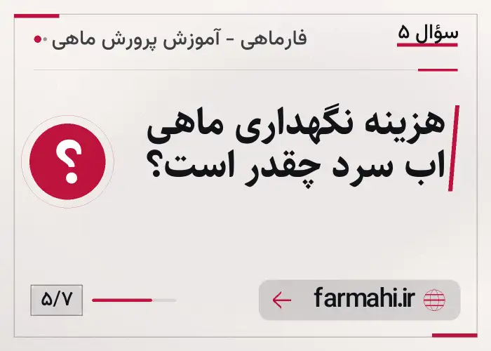 هزینه نگهداری ماهی اب سرد چقدر است؟