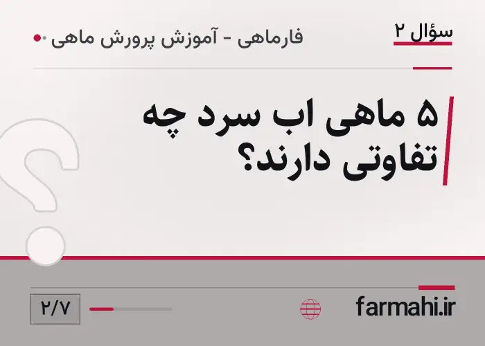 ۵ ماهی اب سرد چه تفاوتی دارند؟