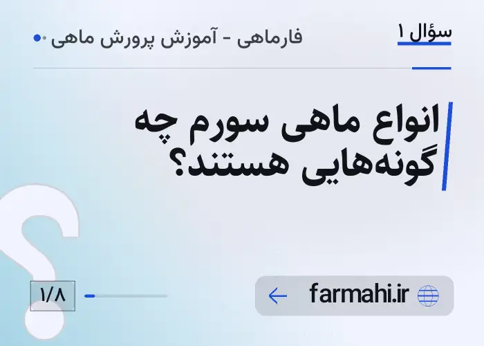 انواع ماهی سورم چه گونه‌هایی هستند؟